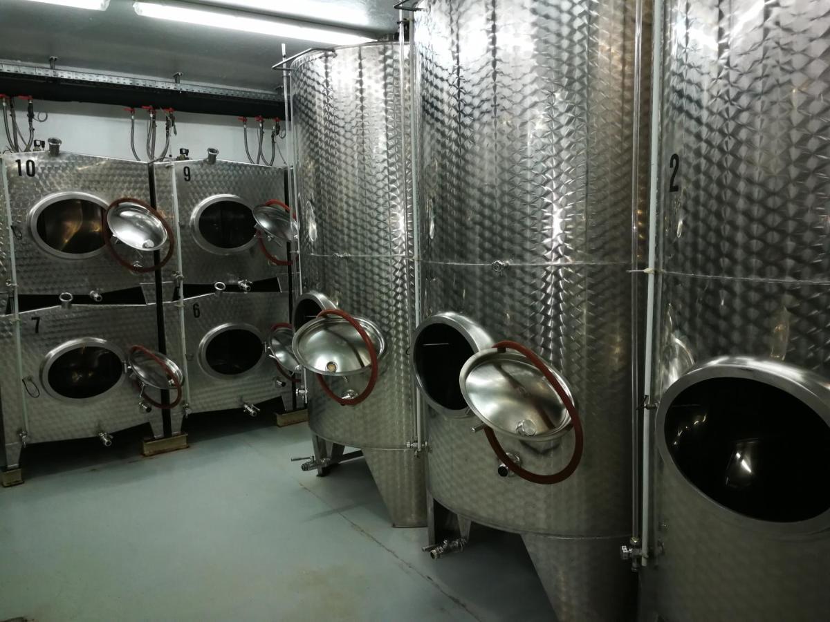 Winzerhof Brachtendorf Alken Zewnętrze zdjęcie