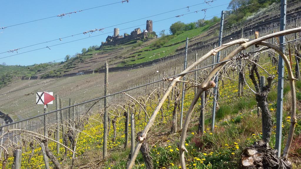 Winzerhof Brachtendorf Alken Zewnętrze zdjęcie