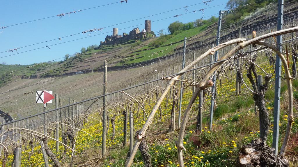 Hotel Winzerhof Brachtendorf Alken Zewnętrze zdjęcie