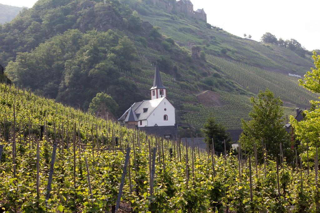 Hotel Winzerhof Brachtendorf Alken Zewnętrze zdjęcie