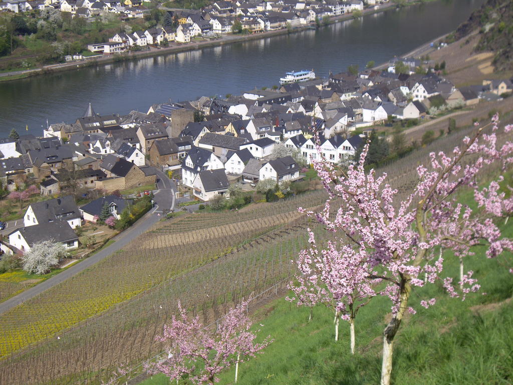 Hotel Winzerhof Brachtendorf Alken Zewnętrze zdjęcie