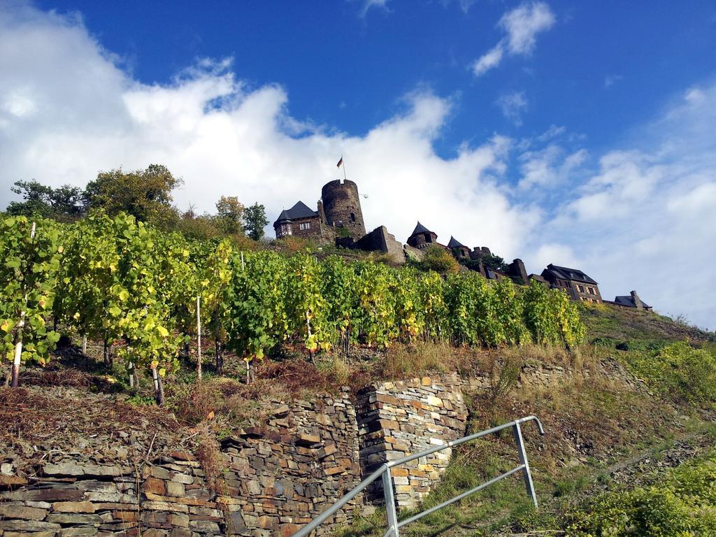 Hotel Winzerhof Brachtendorf Alken Zewnętrze zdjęcie