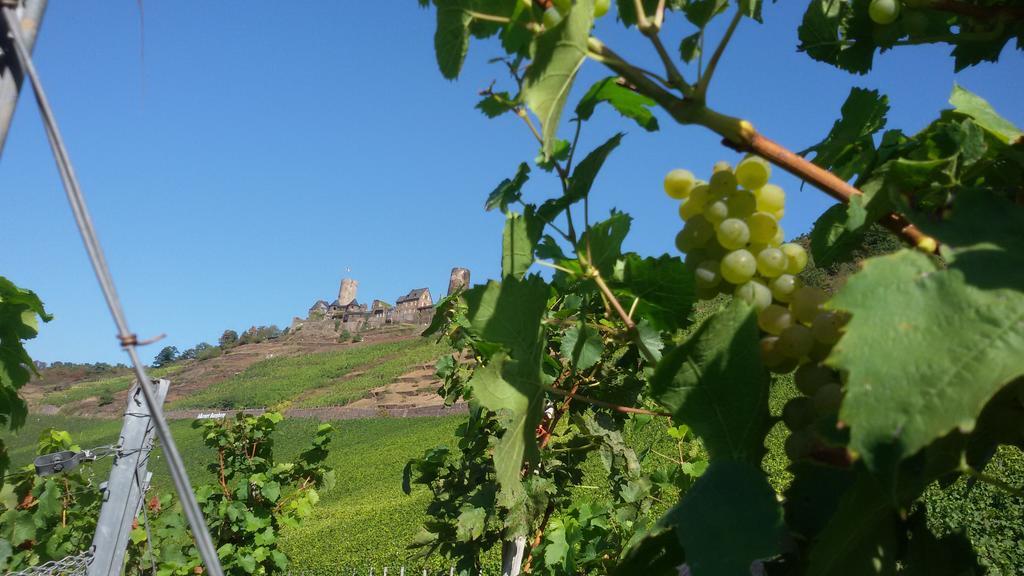 Hotel Winzerhof Brachtendorf Alken Zewnętrze zdjęcie